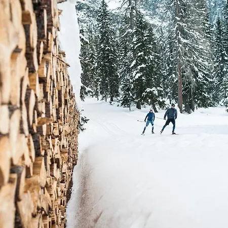 Appartement Evashome